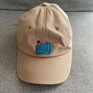 Patagonia Hat